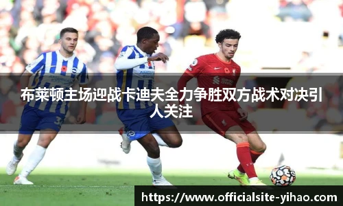 布莱顿主场迎战卡迪夫全力争胜双方战术对决引人关注